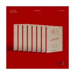 Stray Kids – MAXIDENT(CASE version  - Bangchan)