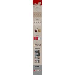 Stray Kids – MAXIDENT(CASE version  - Bangchan)